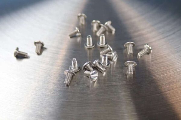 This image is of 20 stainless steel tiny screws.